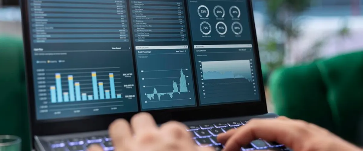 Enterprise Reporting Rollout Power BI executive dashboard