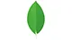 MongoDB Database MongoDB NoSQL database for Java applications