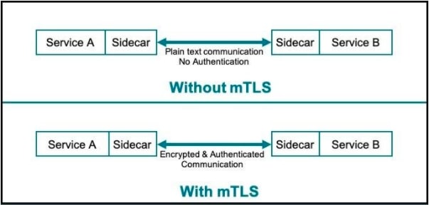 Mutual TLS